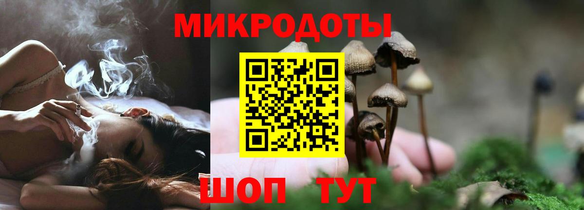 Галлюциногенные грибы MAGIC MUSHROOMS Сургут