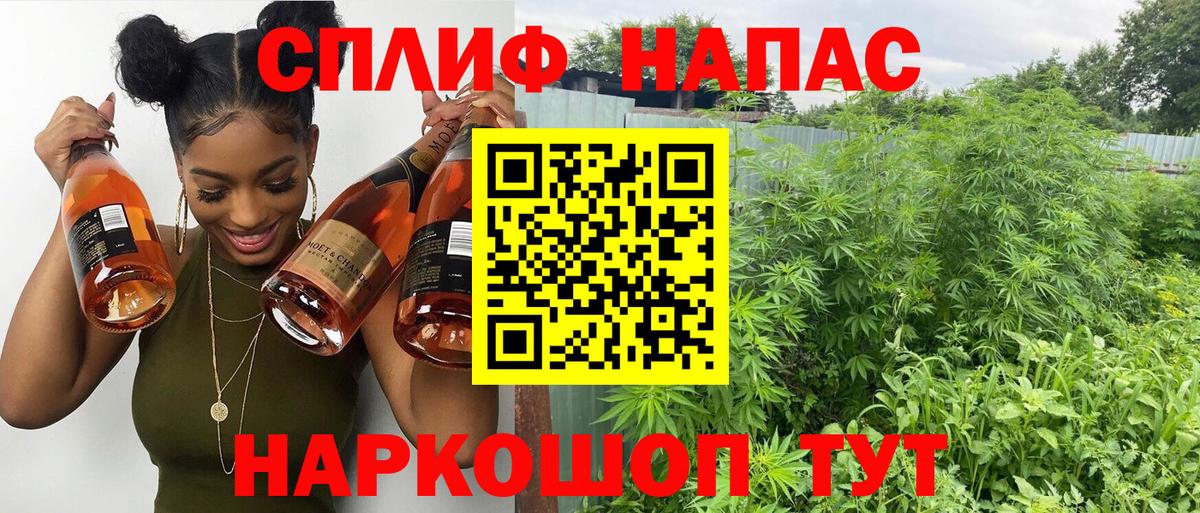 Сургут  Конопля план  Вход с VPN  Марихуана OG Kush  МАРИХУАНА VHQ  Бошки Шишки тримм 
